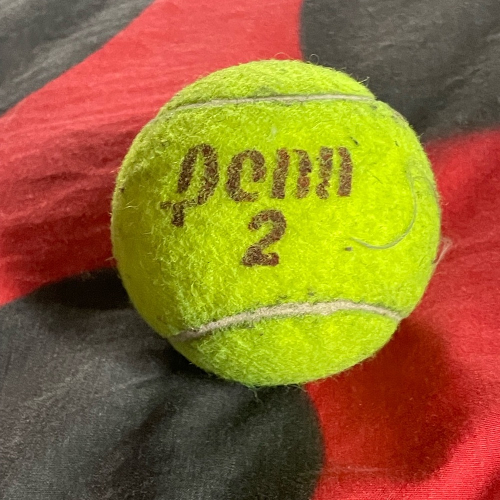 Bright Yellow Tennis Ball